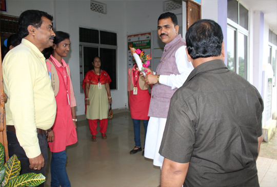 Image Here