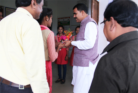 Image Here